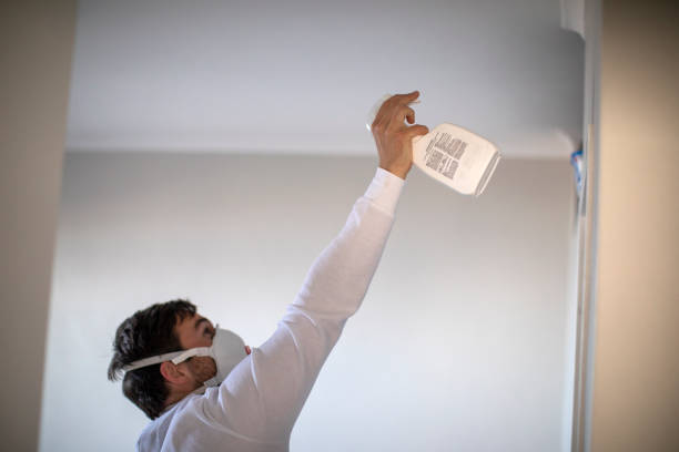 Best Mold Removal Near Me  in Bonneau Beach, SC