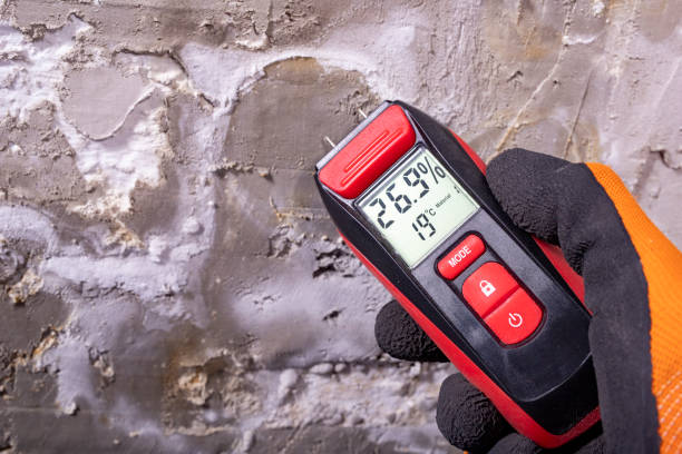 Best Home Mold Removal  in Bonneau Beach, SC